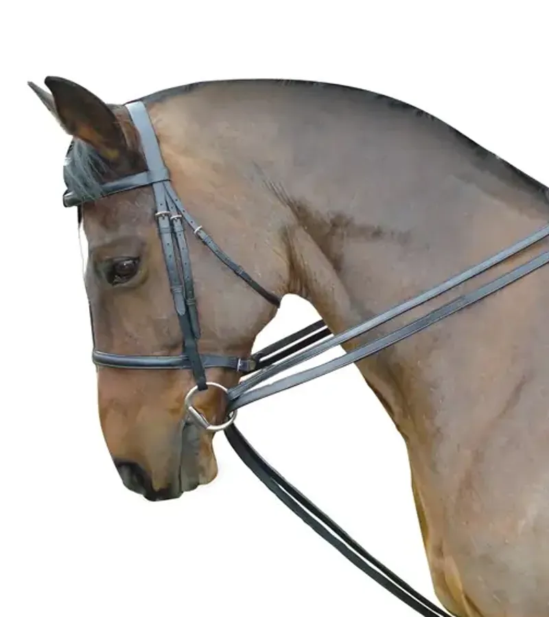 Kincade Leather Draw Reins - Black